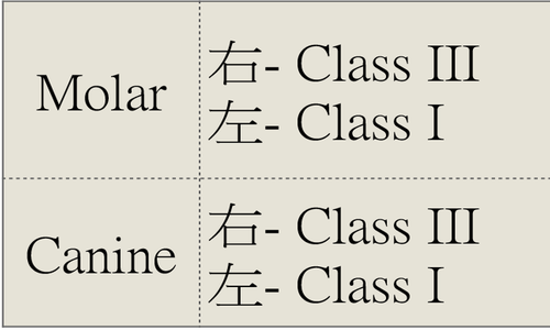 資料-5