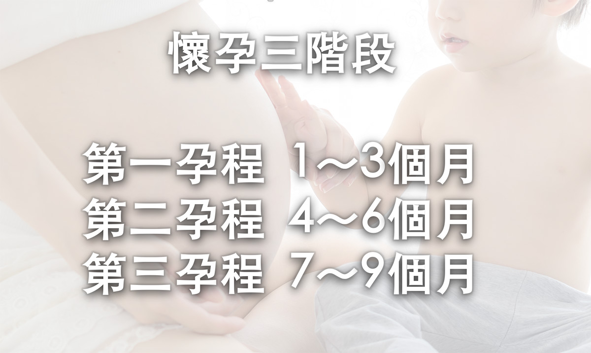 懷孕三階段
